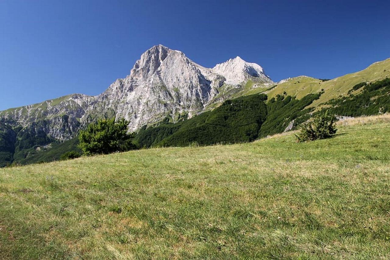 Complesso Turistico Aurora - Camere B&B Poggio Picenze Экстерьер фото
